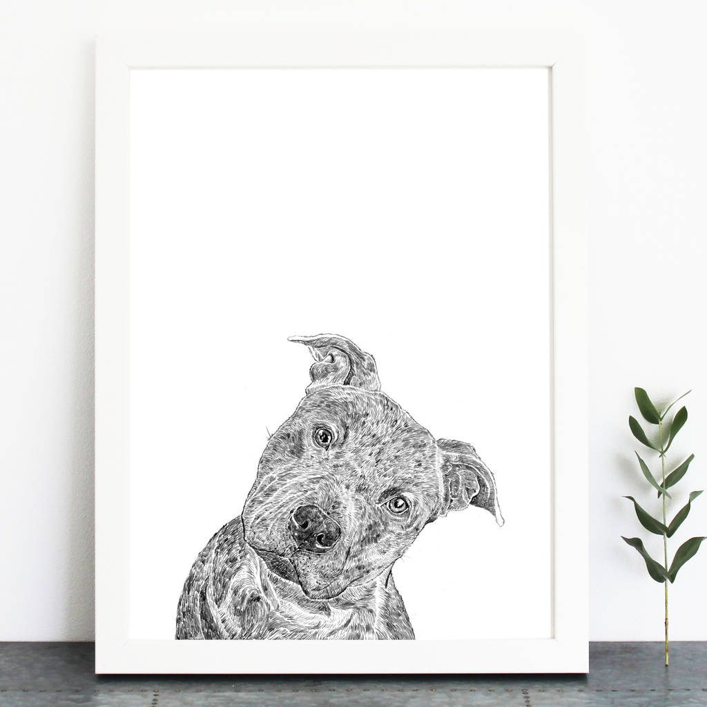 1024x1024 Staffordshire Bull Terrier Print - Bull Terrier Drawing