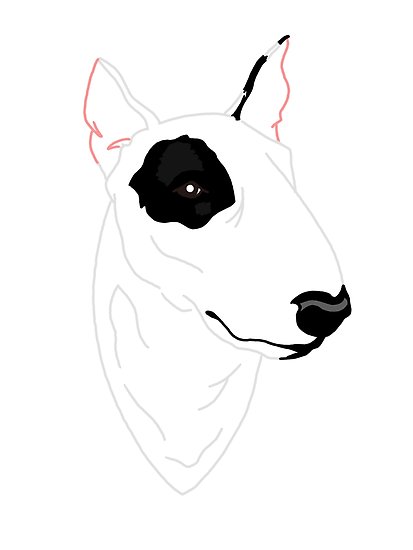 413x550 Bull Terrier Digital Line Drawing Posters - Bull Terrier Drawing