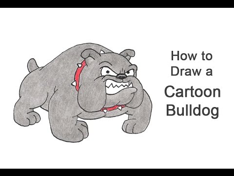 480x360 How To Draw A Bulldog - Bulldog Cartoon Drawing