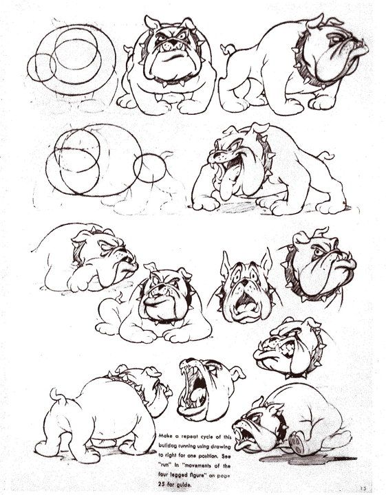 561x720 Cartoon Bulldog From Tom And Jerry - Bulldog Cartoon Drawing