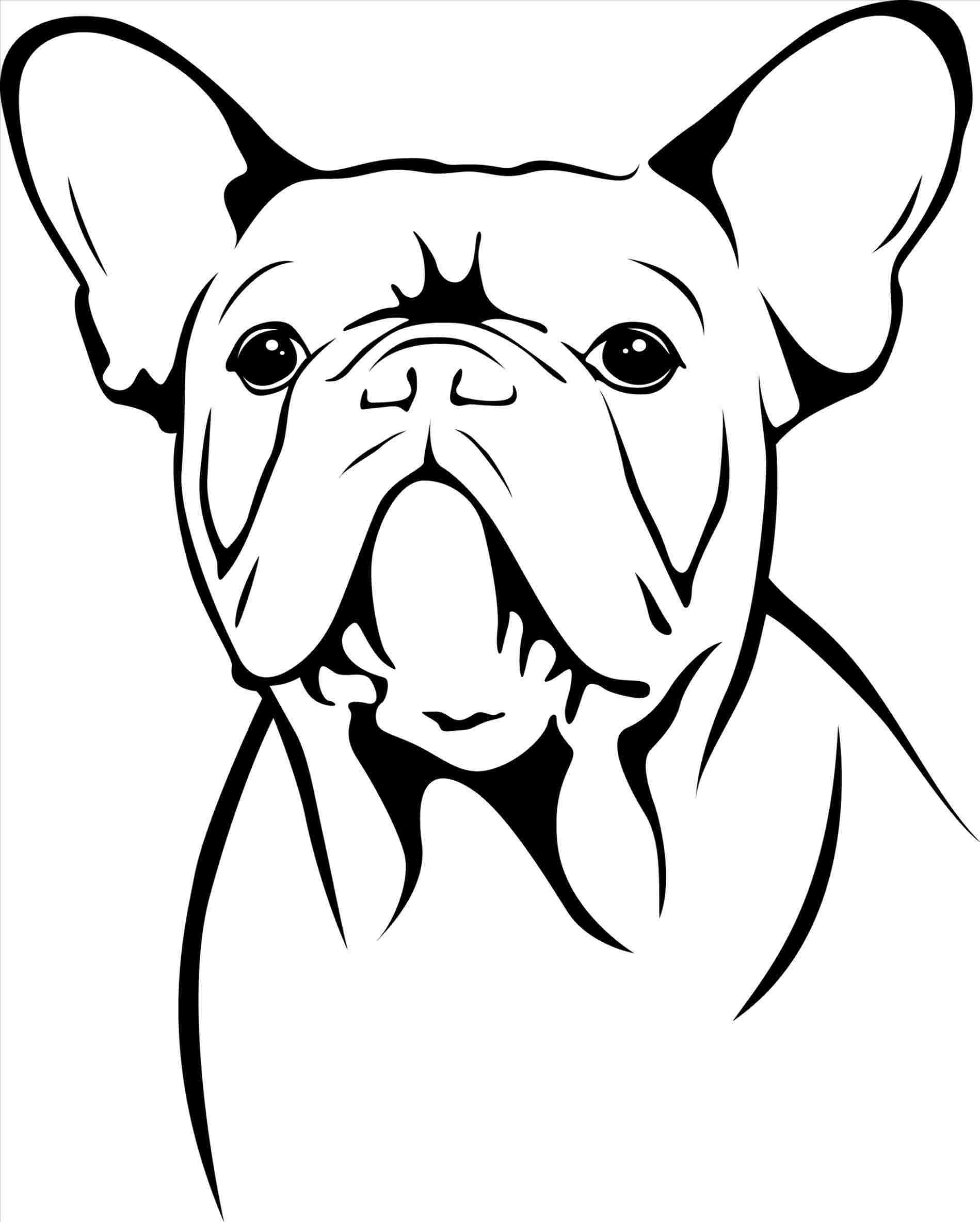 1899x2368 Draw Bulldog Face - Bulldog Cartoon Drawing