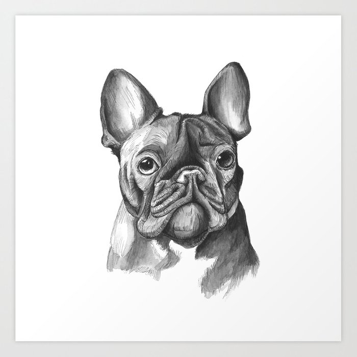 700x700 French Bulldog Drawing Art Print - Bulldog Drawing