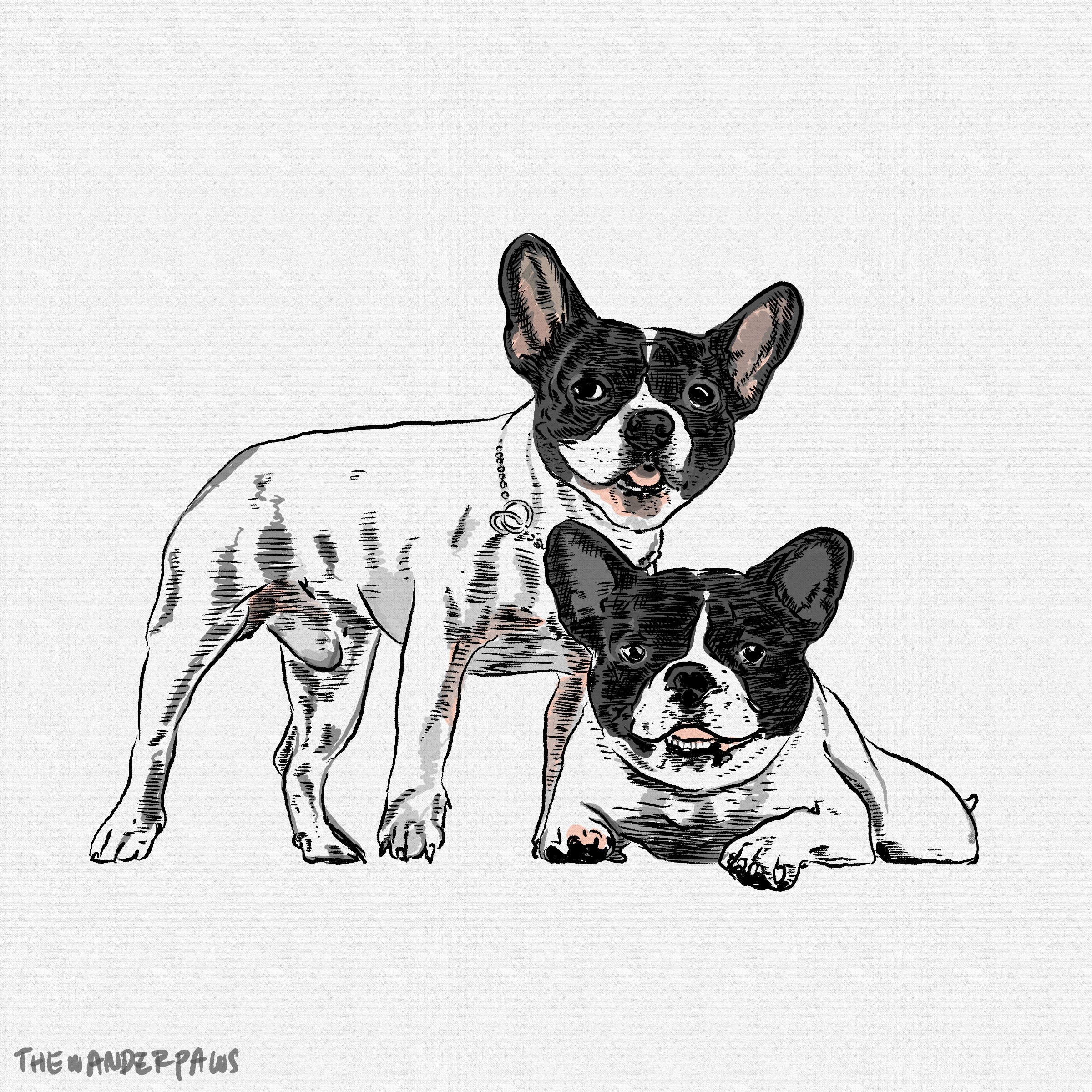 2400x2400 A Couple Of French Bulldog Drawing The Space Wanderer - Bulldog Drawing