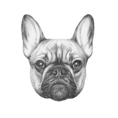 400x400 Original Drawing Of French Bulldog Isolated On White Background - Bulldog Drawing