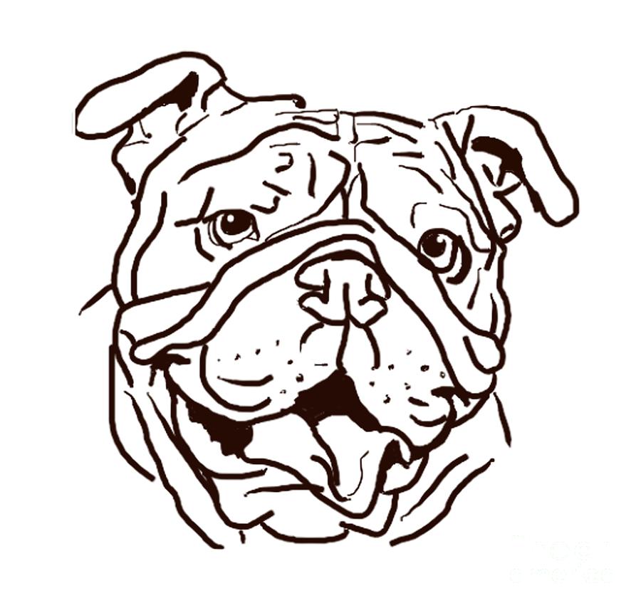 900x854 The Bulldog Love Of My Life Drawing - Bulldog Drawing