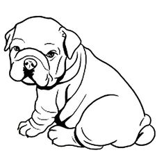 236x236 how to draw a bulldog, english bulldog step animals - Bulldog Drawing