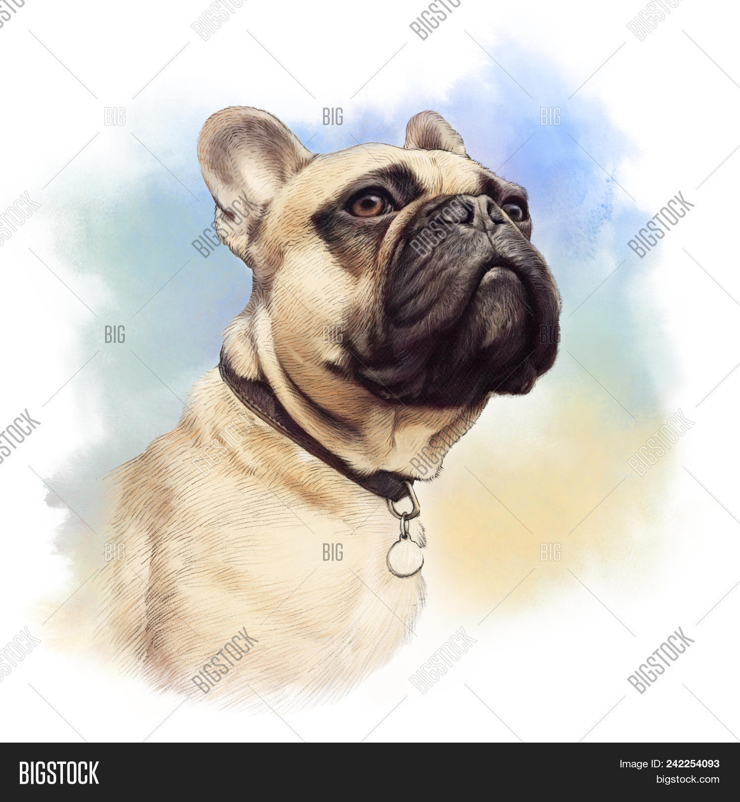 1494x1620 Cute French Bulldog Realistic Drawing Of Boxer Dog On Image - Bulldog Drawing Cute