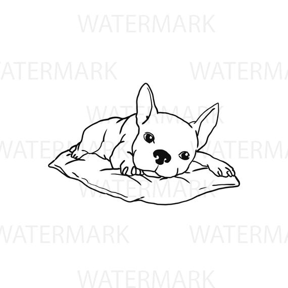 570x570 Cute French Bulldog On A Pillow Looking - Bulldog Drawing Cute