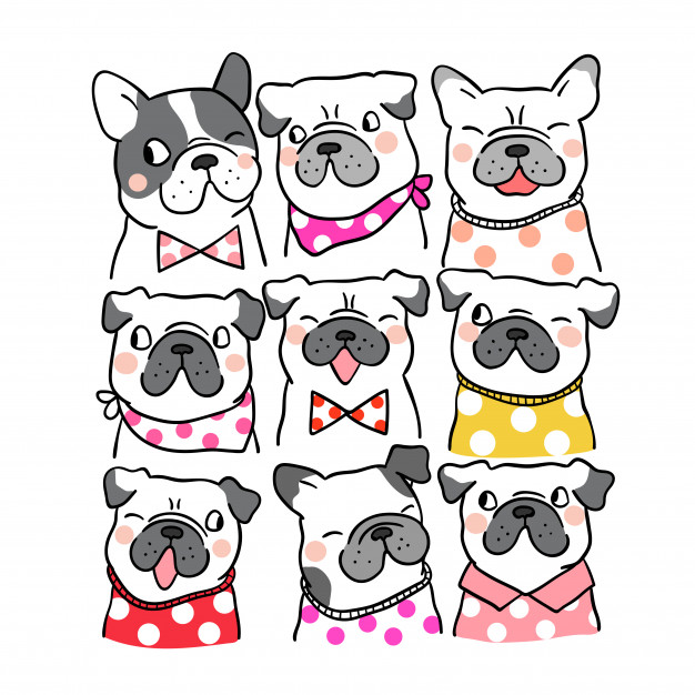 626x626 Draw Portrait Cute Pug And French Bulldog Doodle Style Vector - Bulldog Drawing Cute