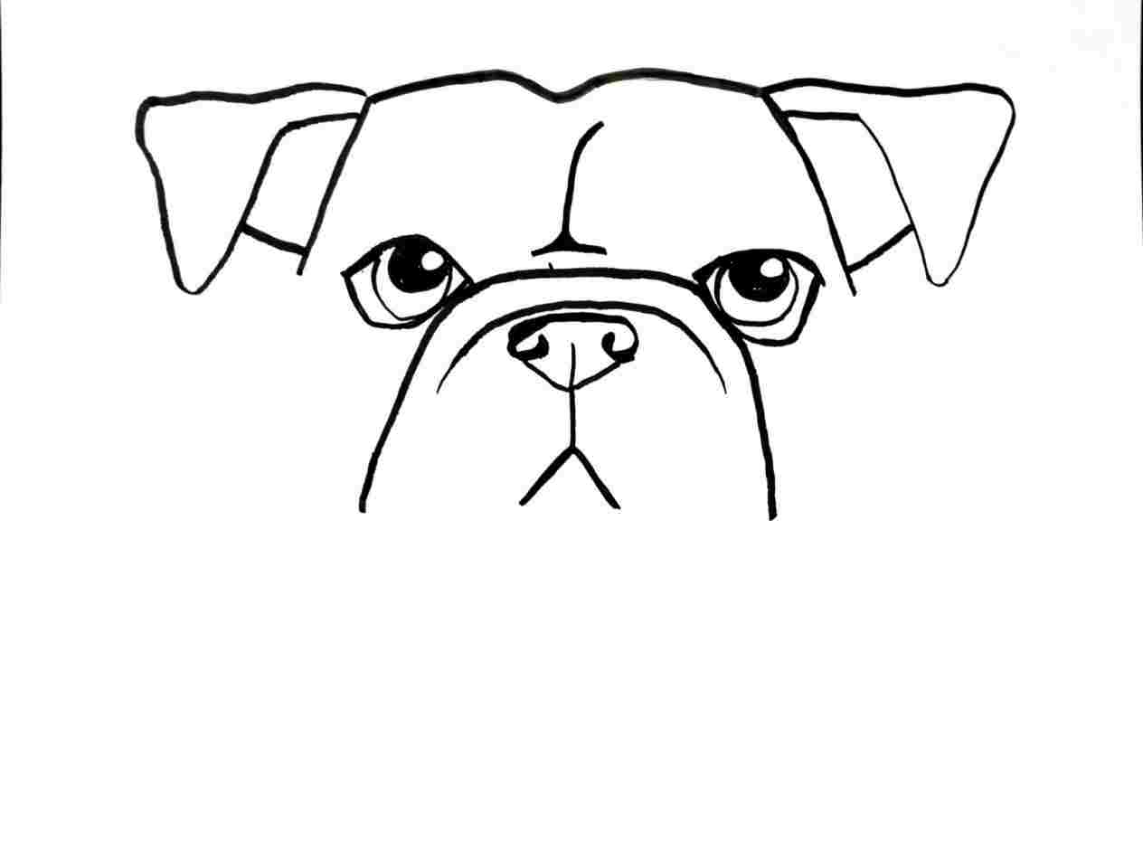 1264x952 drawing dog drawing of a bulldog coloring rhdrawingforkidscom - Bulldog Drawing Cute