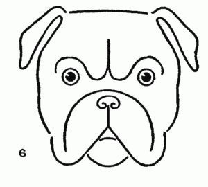 300x270 Bulldog Drawing Easy - Bulldog Drawing Easy