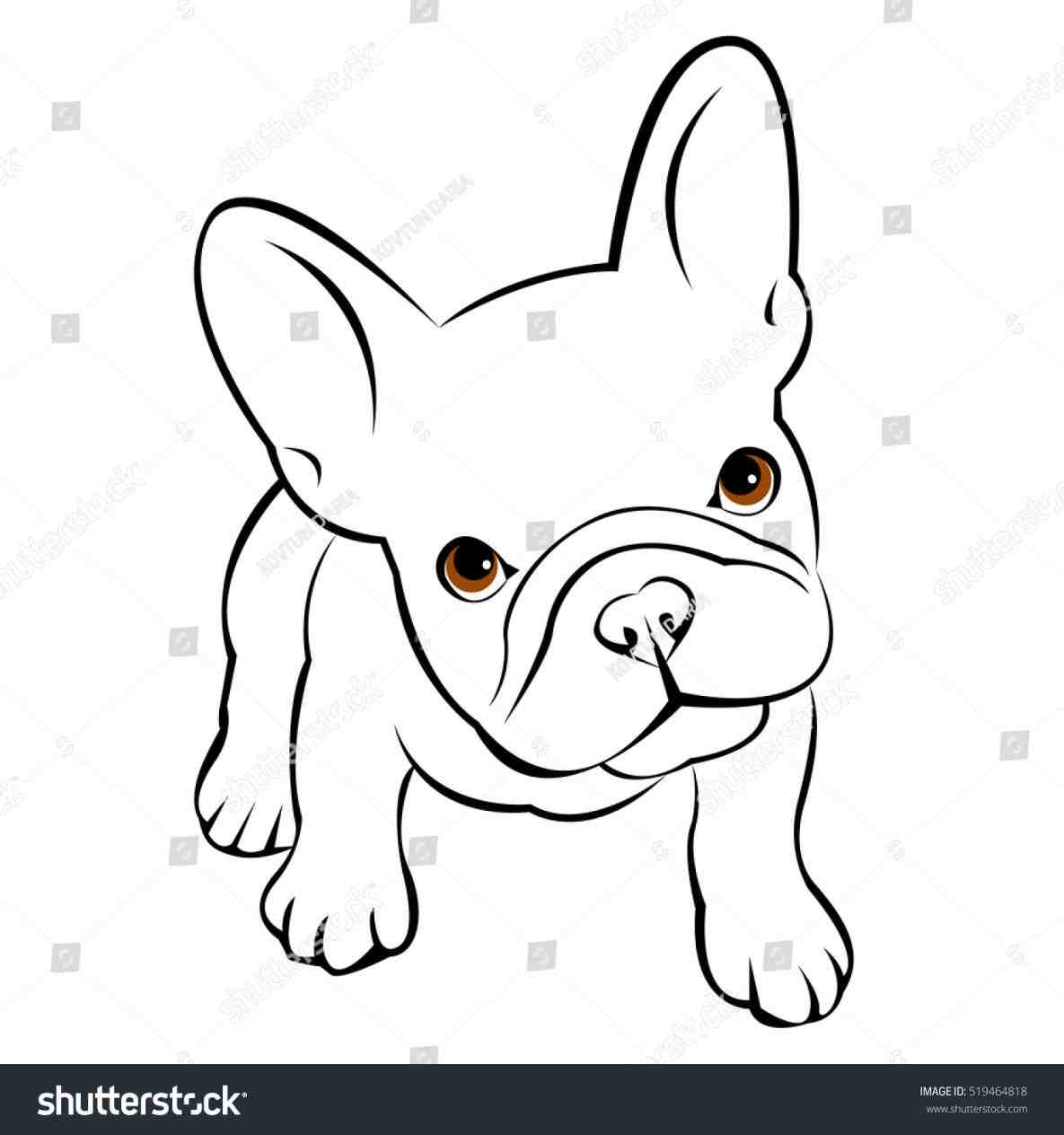 Bulldog Drawing Easy at Explore collection of