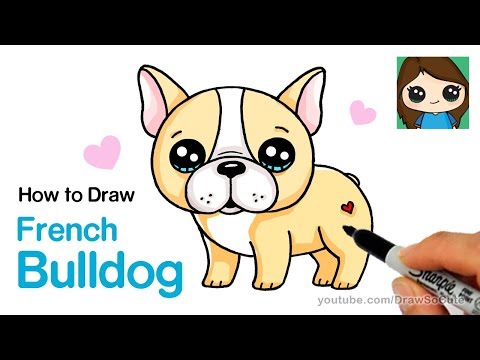 480x360 How To Draw A French Bulldog Easy Cartoon Puppy Safe Videos - Bulldog Drawing Easy
