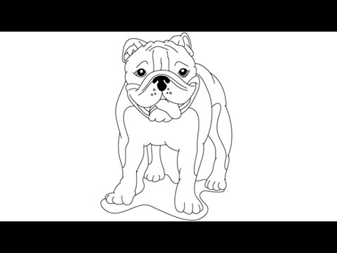 480x360 How To Draw A Bulldog - Bulldog Drawing Easy