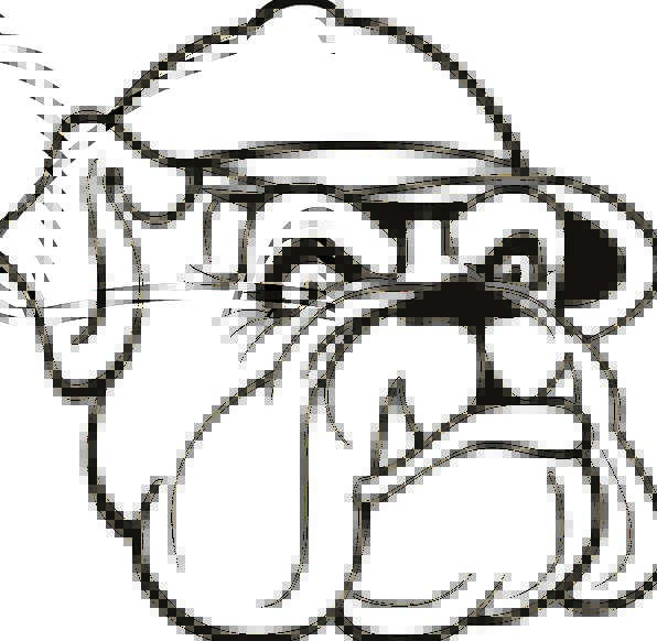 596x582 dog, canine, cap, lid, hat, bulldog, drawing, portrait, sketch - Bulldog Drawing Pictures