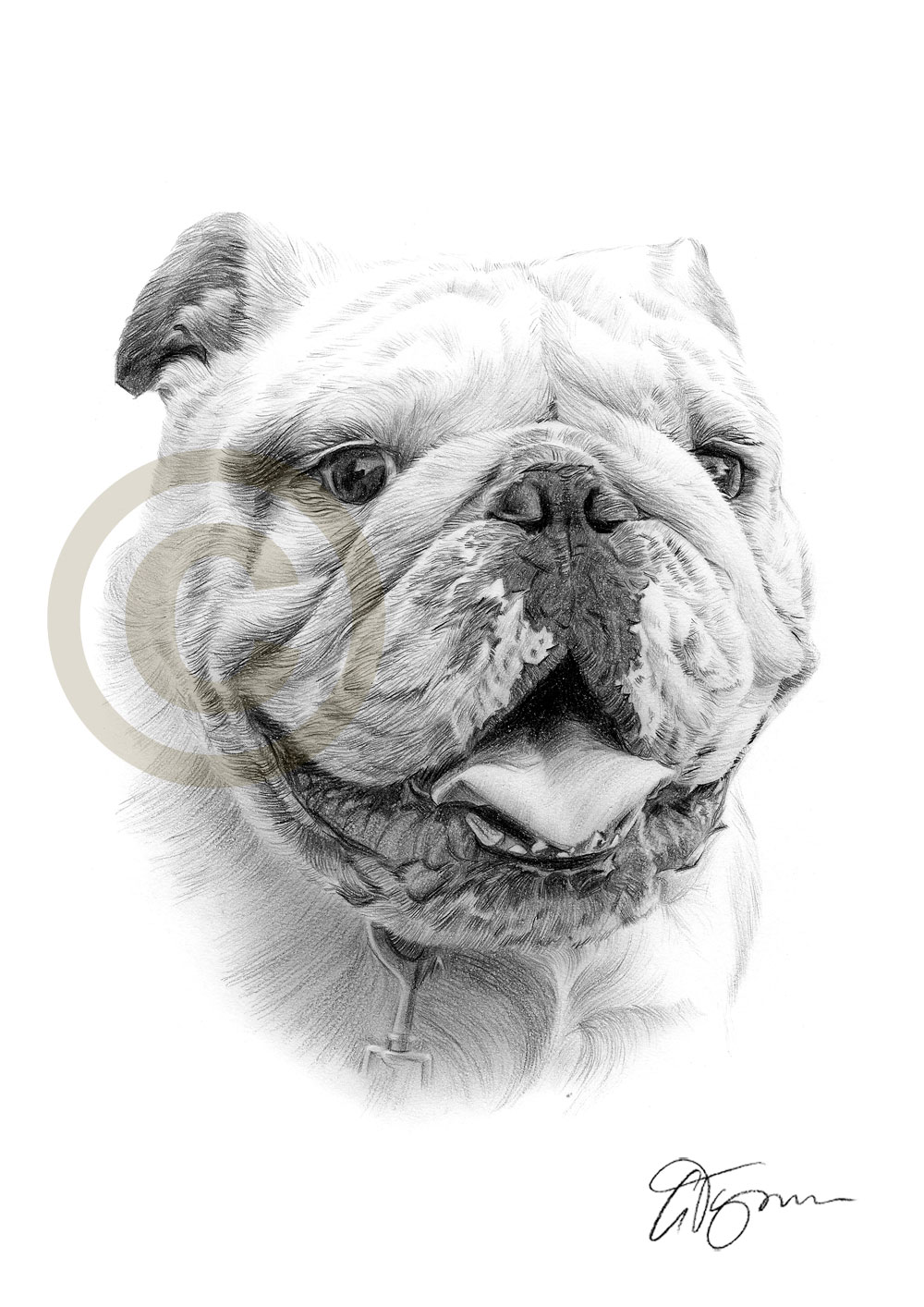 1000x1414 English Bulldog Dog Pencil Drawing Print Signed - Bulldog Drawing Pictures