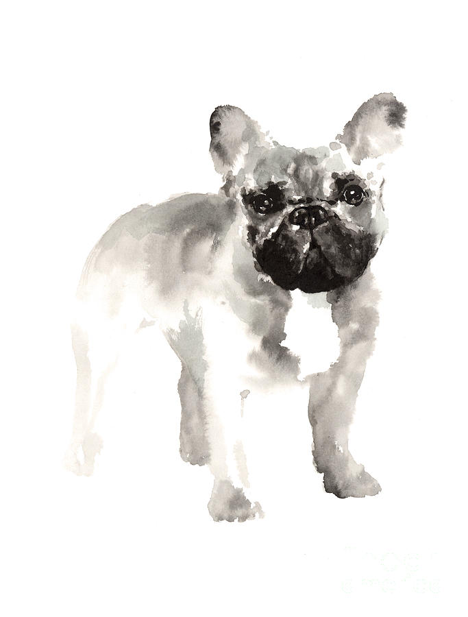 683x900 French Bulldog Drawing For Nursery Room Painting - Bulldog Drawing Pictures