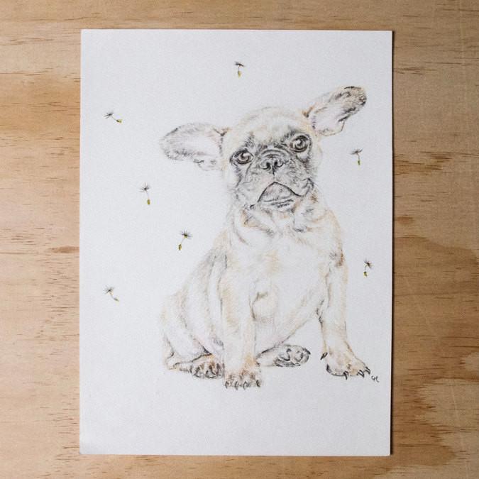 675x675 french bulldog original pencil drawing carmen hui art illustration - Bulldog Drawing Pictures