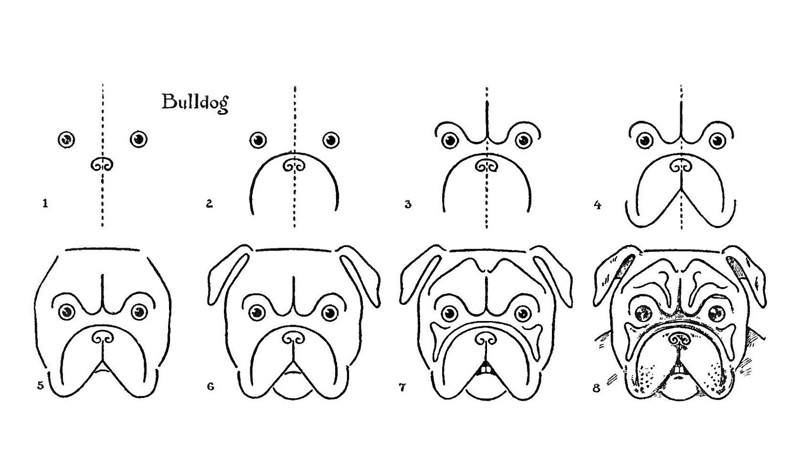 1600x938 Vintage Kids Printable - Bulldog Drawing Pictures
