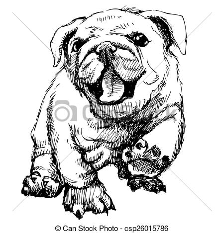 450x469 Bulldog Puppy Hand Draw Vector - Bulldog Drawing Pictures