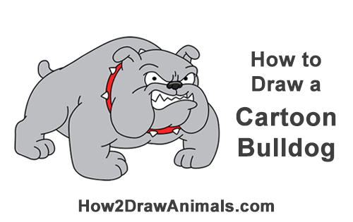 500x315 How To Draw A Bulldog - Bulldog Drawing Step By Step