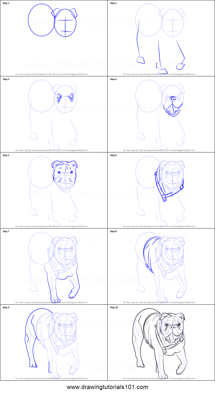 751x1376 How To Draw A Bulldog Printable Step - Bulldog Drawing Step By Step