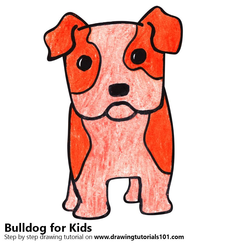 800x800 Learn How To Draw A Bulldog For Kids - Bulldog Drawing Step By Step