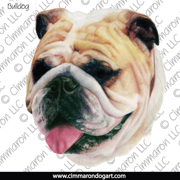 600x600 Bulldog Drawing Note Cards - Bulldog Drawings Images