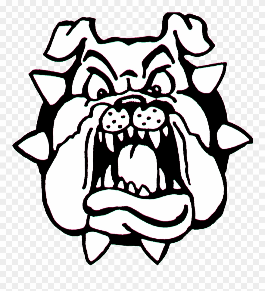880x967 Bulldog Face Clip Art Dromggb Top - Bulldog Drawings Images