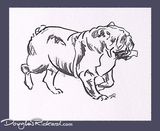 532x436 Bulldog Drawing - Bulldog Drawings Images