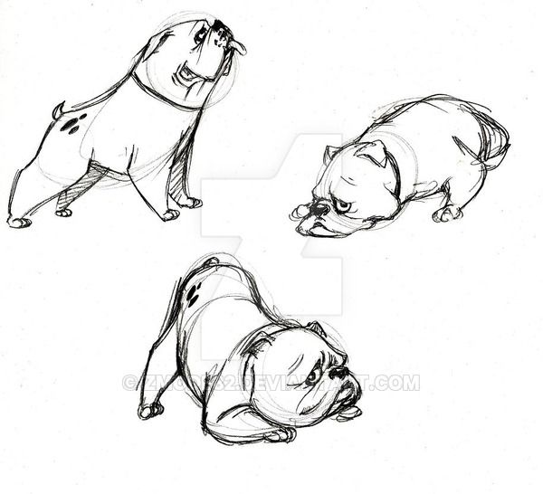 600x546 how to draw an english bulldog english bulldog obsession - Bulldog Drawings Images