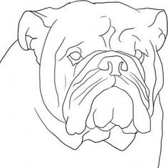 236x236 Best Bulldog Drawing Images In Drawings, English - Bulldog Drawings Images