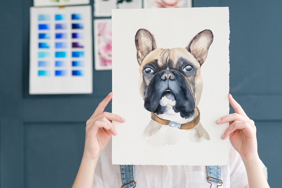 900x600 french bulldog drawings that will frenchie up your living space - Bulldog Drawings Images