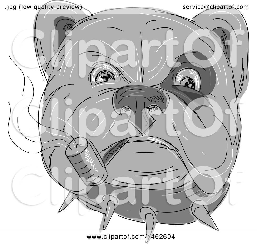 1080x1024 clipart of a grayscale bulldog face smoking a pipe, in drawing - Bulldog Face Drawing