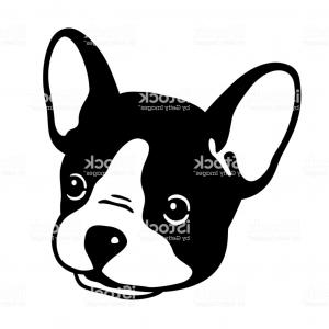 300x300 Dog Vector French Bulldog Face Logo Icon Head Character - Bulldog Face Drawing