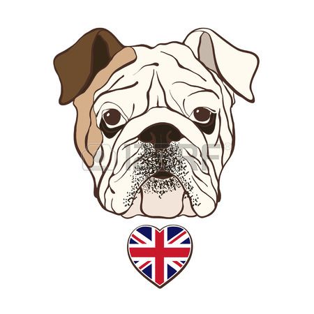 450x450 English Bulldog Face With Heart Flag Uk Hand Drawn Vector - Bulldog Face Drawing