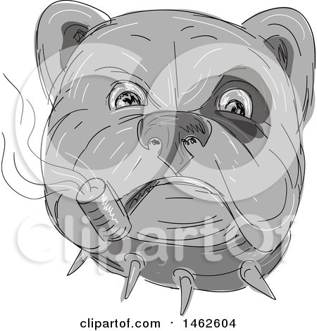 450x470 grayscale bulldog face smoking a pipe, in drawing sketch style - Bulldog Face Drawing