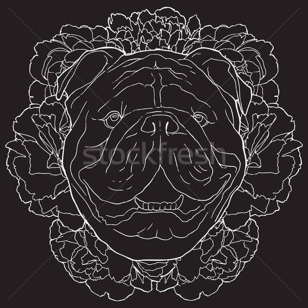 600x600 Vector Bulldog And Flowers White Contour Sketch On Black - Bulldog Face Drawing