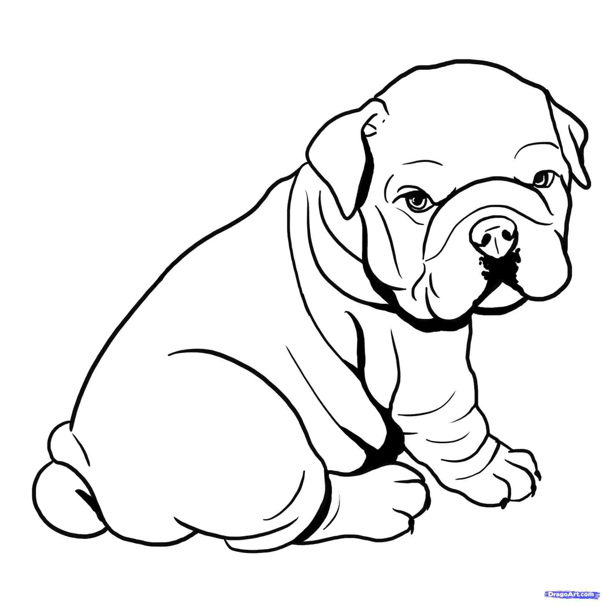 2014x2014 Step Bulldogs Rhcom How Pitbull Face Drawing Printable - Bulldog Face Drawing