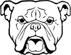 232x180 Bulldog Face Drawing - Bulldog Face Drawing