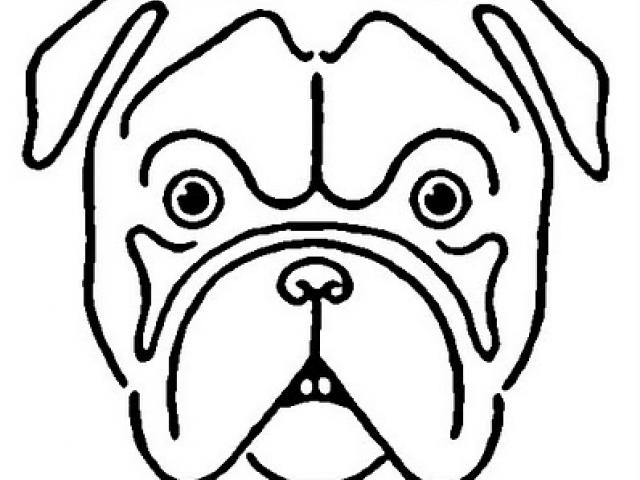 640x480 Drawn Bulldog Bulldog Head - Bulldog Head Drawing