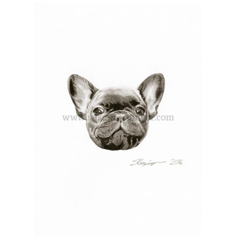 794x794 French Bulldog Head Original Drawing Etsy - Bulldog Head Drawing
