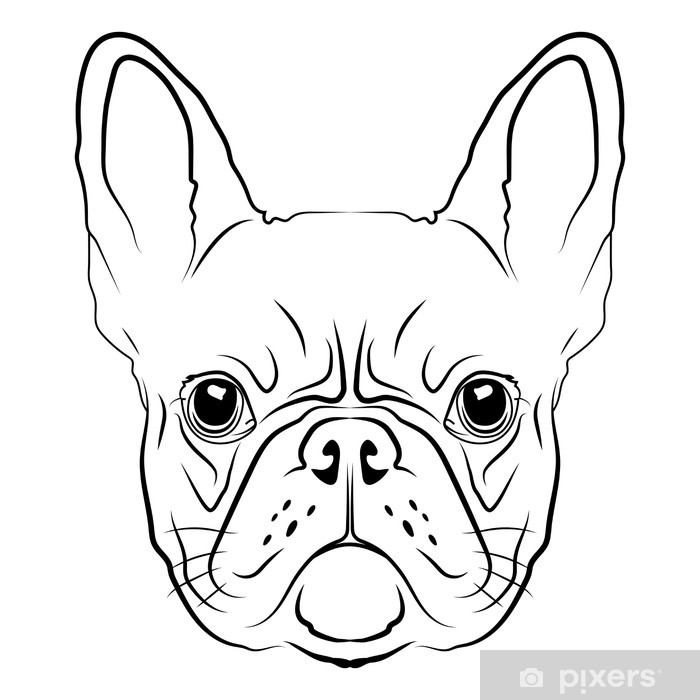 700x700 French Bulldog Head Logo Or Icon In White Sticker We - Bulldog Head Drawing
