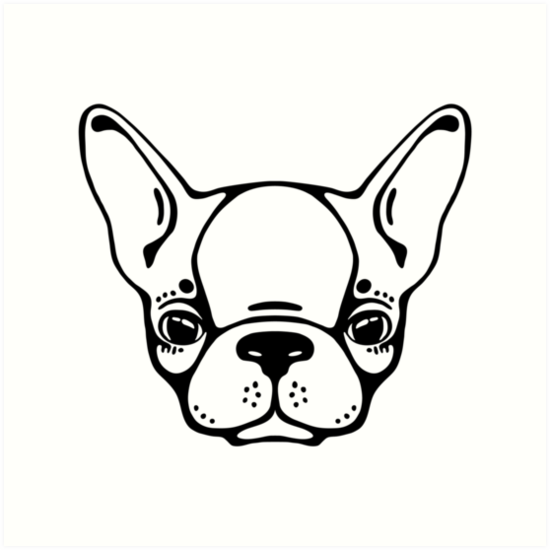 550x550 French Bulldog Head Isolated Art Prints - Bulldog Head Drawing