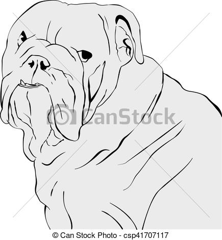 435x470 Line Art Drawing Of A Bulldog Head - Bulldog Head Drawing
