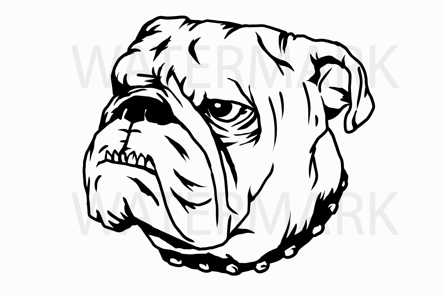 1500x1000 Bulldog Head B - Bulldog Head Drawing