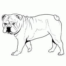 225x225 Image Result For English Bulldog Line Drawing Me Drawings - Bulldog Line Drawing