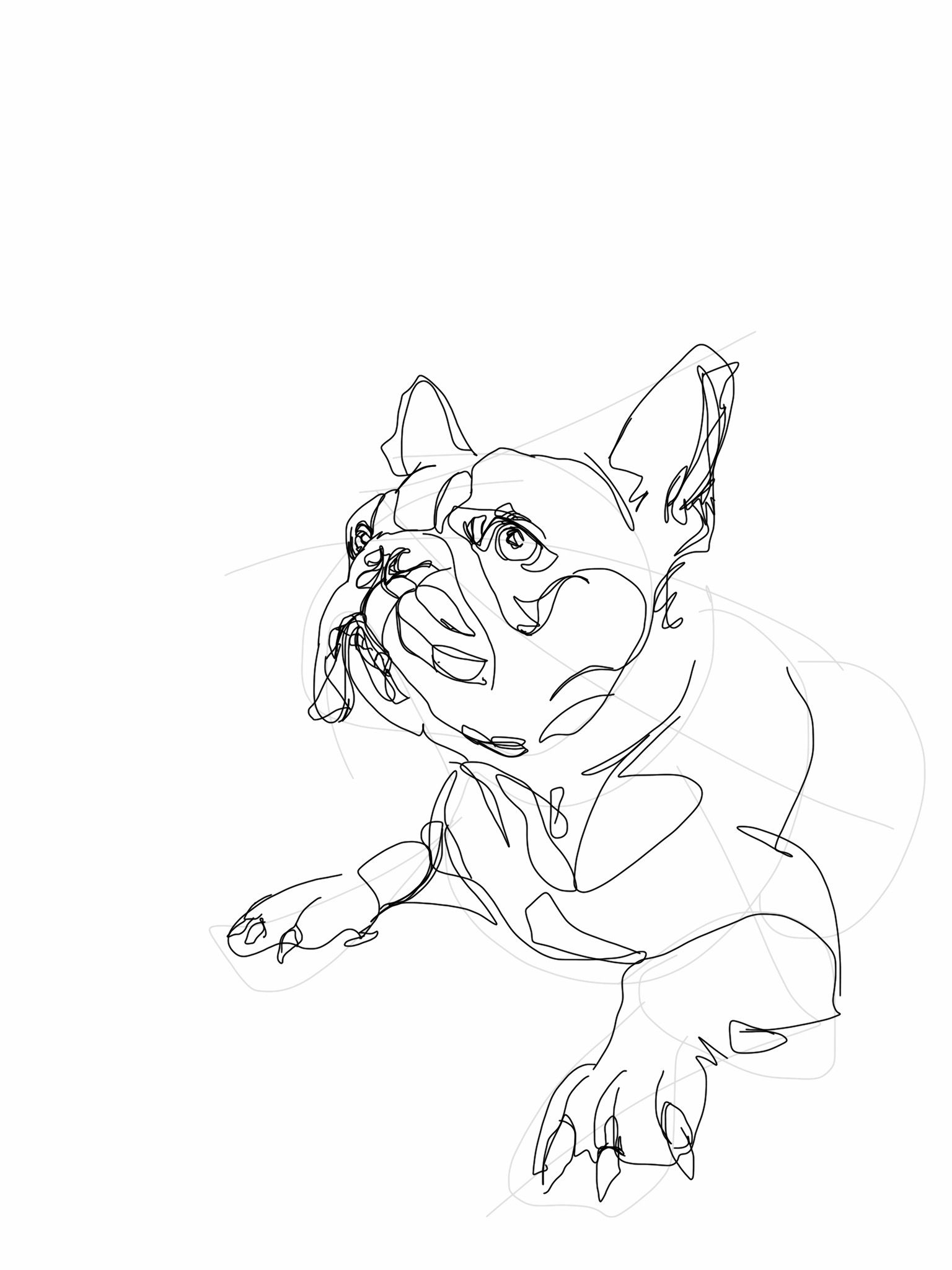 1536x2048 Ipad Drawing Digital Art - Bulldog Line Drawing