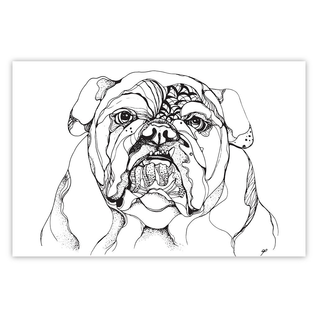1024x1024 Bulldog Lines Laislausa - Bulldog Line Drawing