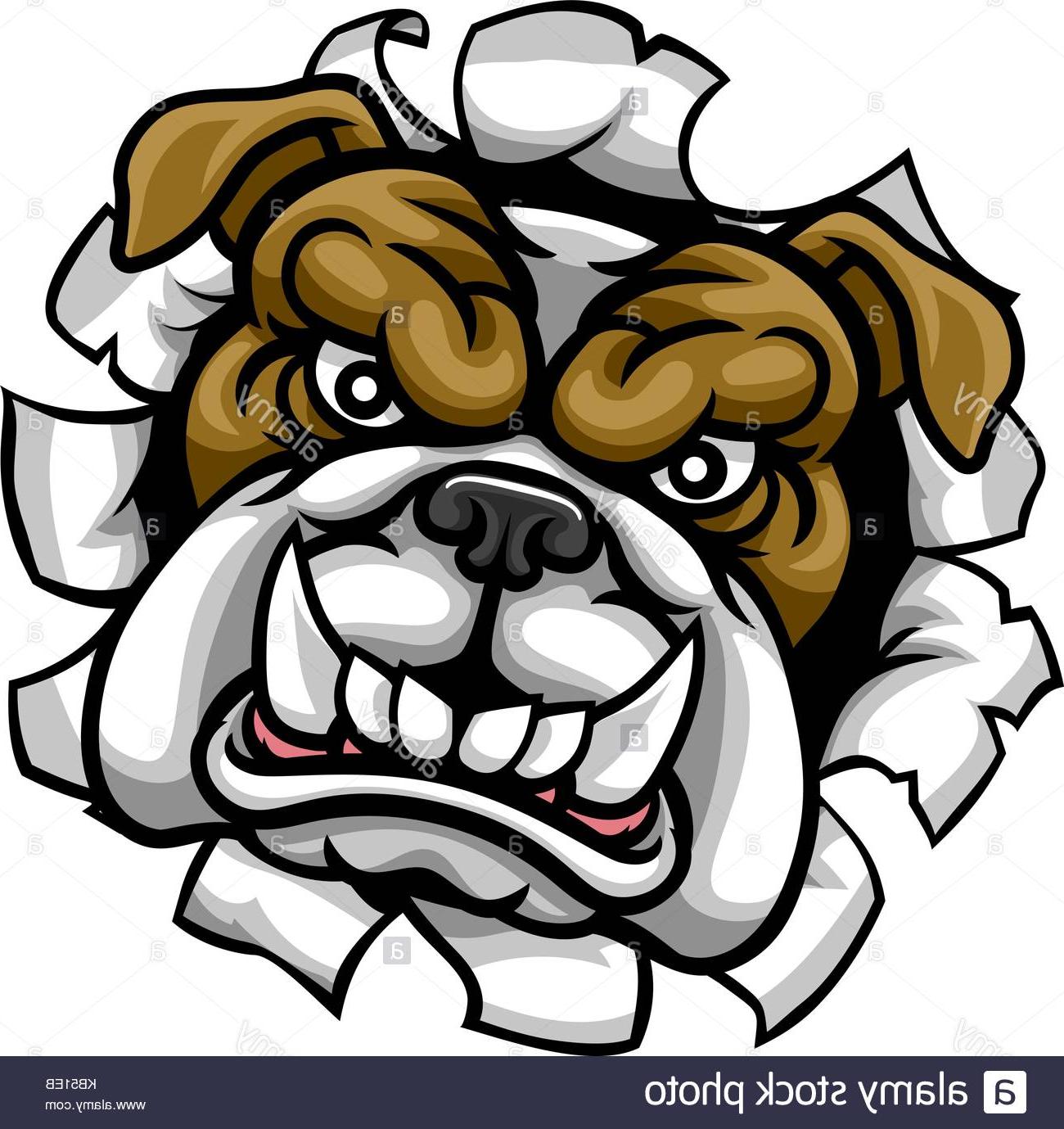 Bulldog Mascot Drawing at PaintingValley.com | Explore collection of ...